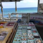 <88>心のスキにマツコさま